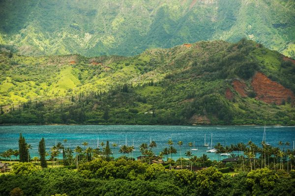 Kauai Wedding Photography