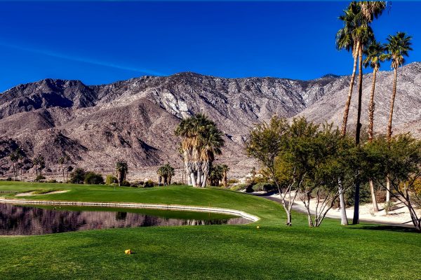 Palm Springs Wedding Photography