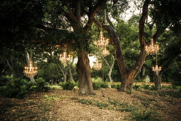 Gardener Ranch Wedding Photography