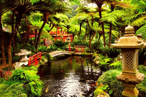 Japanese Tea Garden Wedding Photography