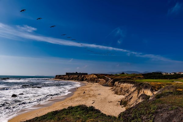 Halfmoon Bay Wedding Photography