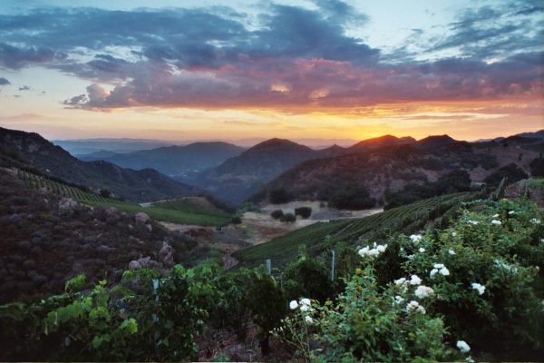 Malibu Hills Wedding Photography